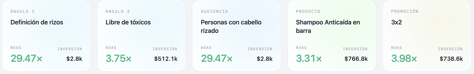 Las dimensiones ganadoras en Zora: ángulo, audiencia, producto y promoción, cada una con su ROAS e inversión